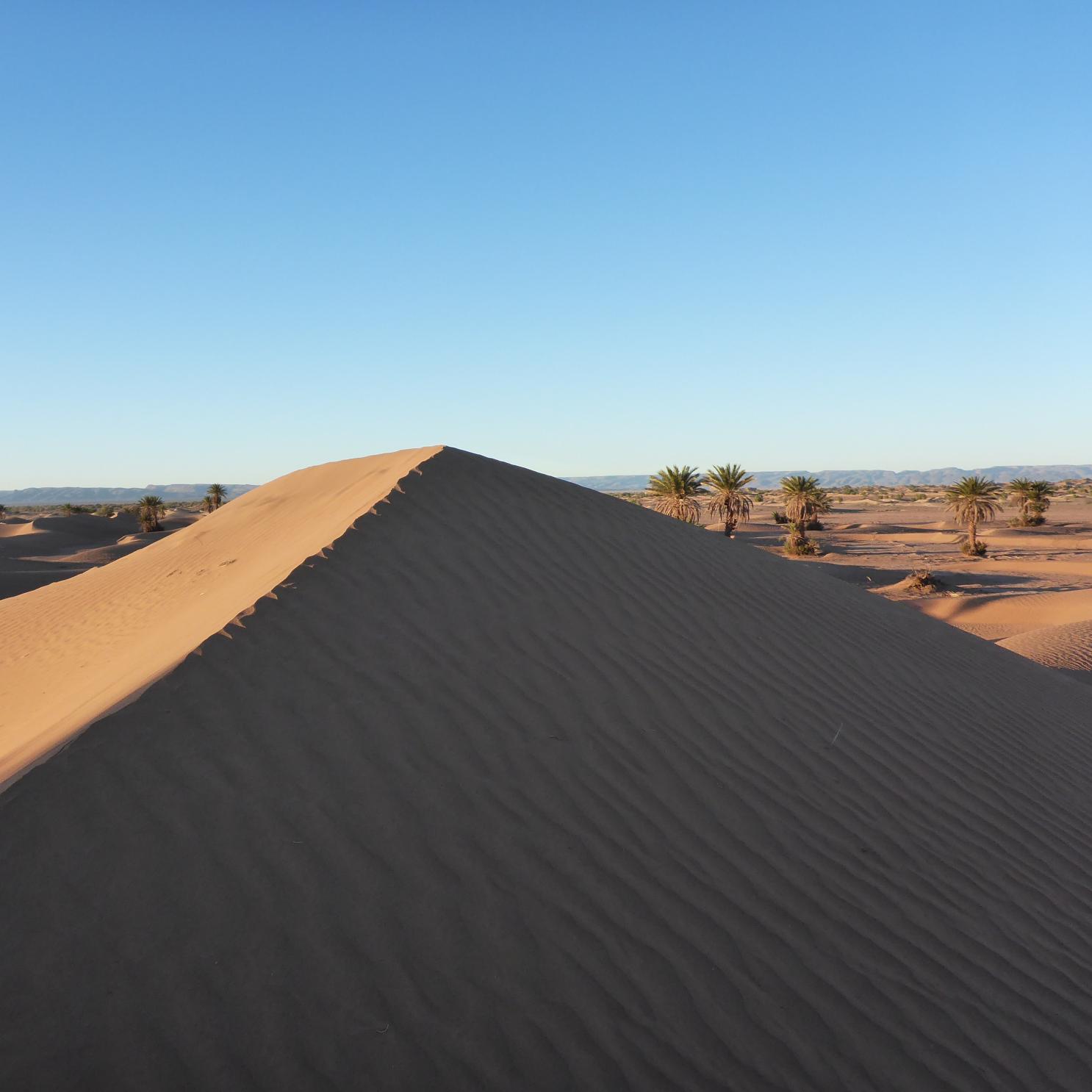 visite guidée au Maroc, expérience marocaine, vacances au Maroc