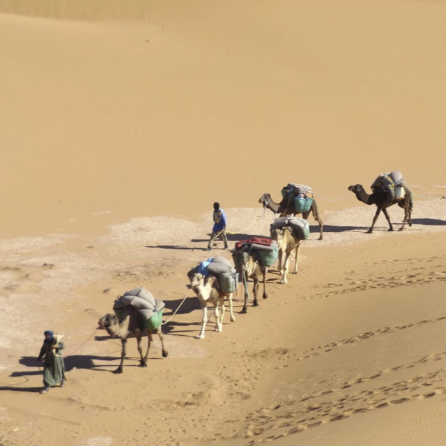 trek dans le désert, trekking encadré désert Maroc