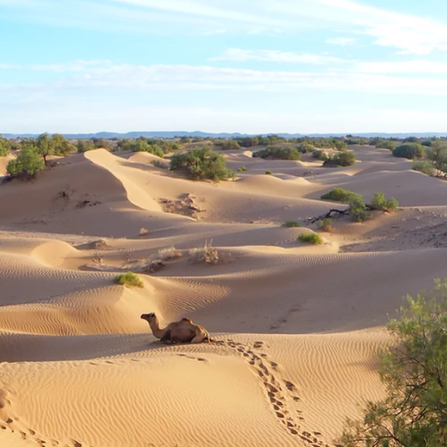expérience marocaine, circuit dans le désert, bivouac dans le désert